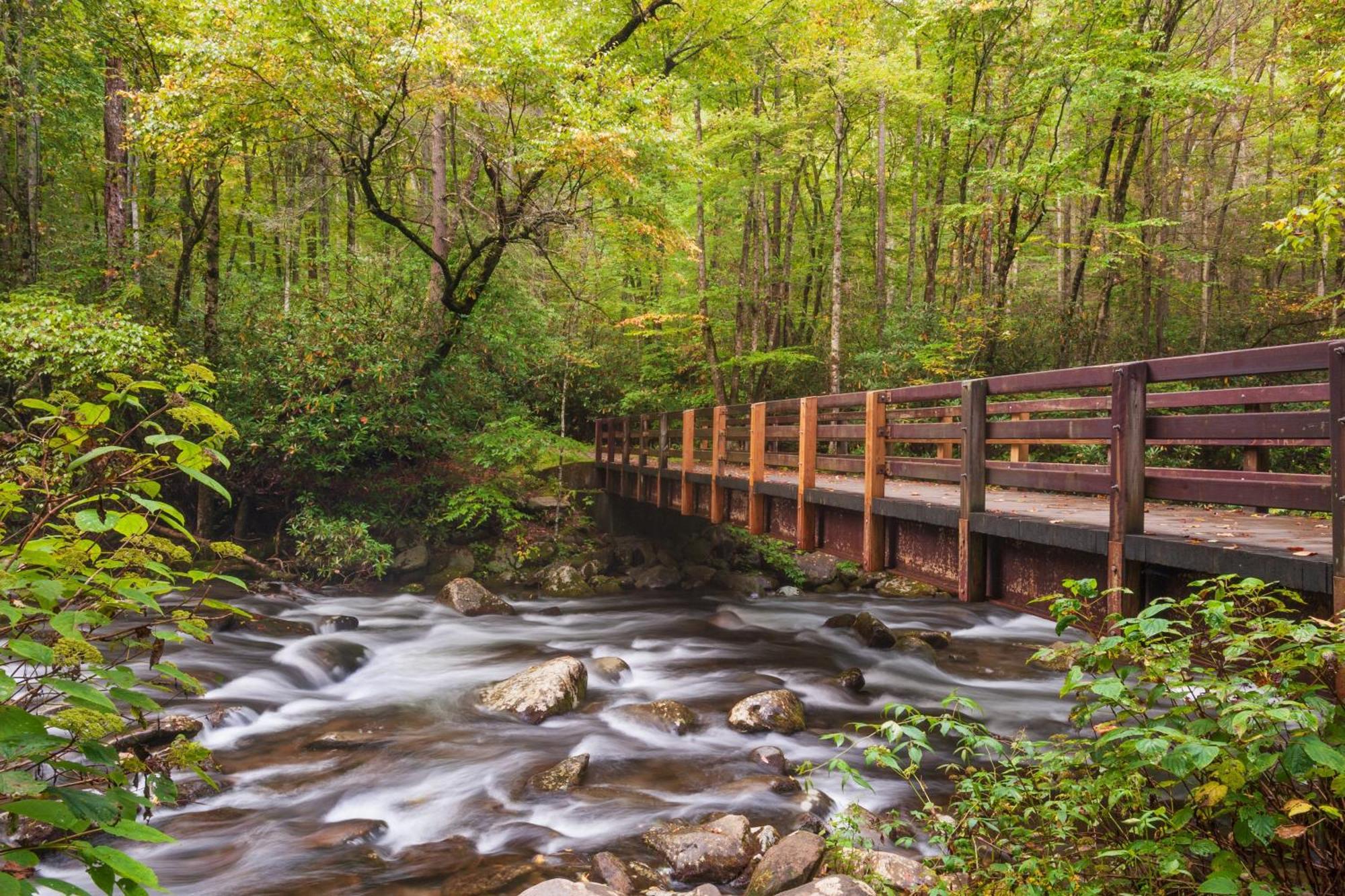 Magical Moments, Hot Tub, Wifi, 1089 Free Tickets Each Paid Day, Dollywood And More Gatlinburg Ngoại thất bức ảnh